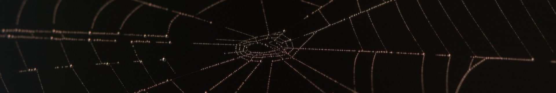 Dark Web Banner Dark Web Monitoring